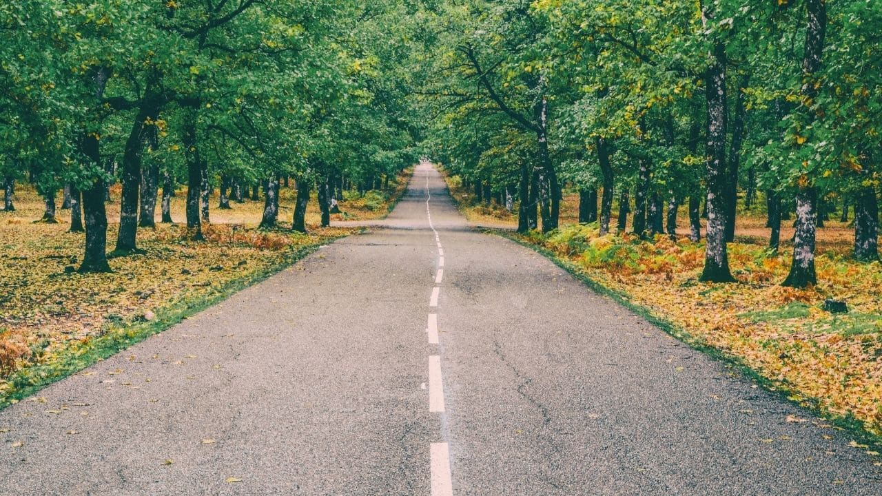Motivasyonu Yüksek Tutma Yolları