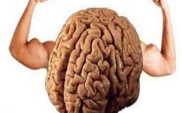 beyin-gelistirme-4