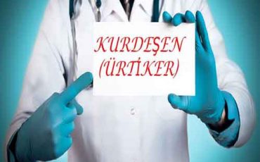 kurdesen