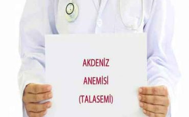 akdeniz-anemisi-5