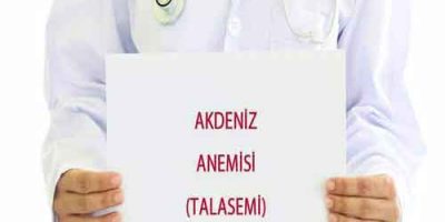 akdeniz-anemisi-5